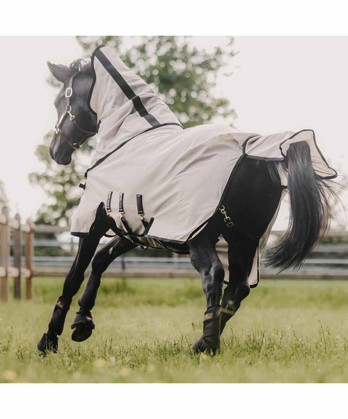 Kentucky Horsewear Mesh Fly Rug.