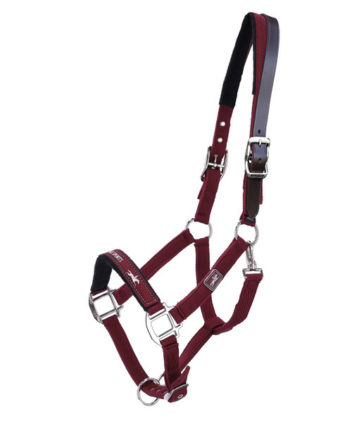 Schockemohle Memphis Breakaway Halter in Dark Cherry.