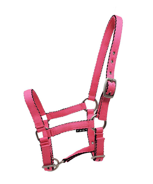 Silverline Foal Halter.