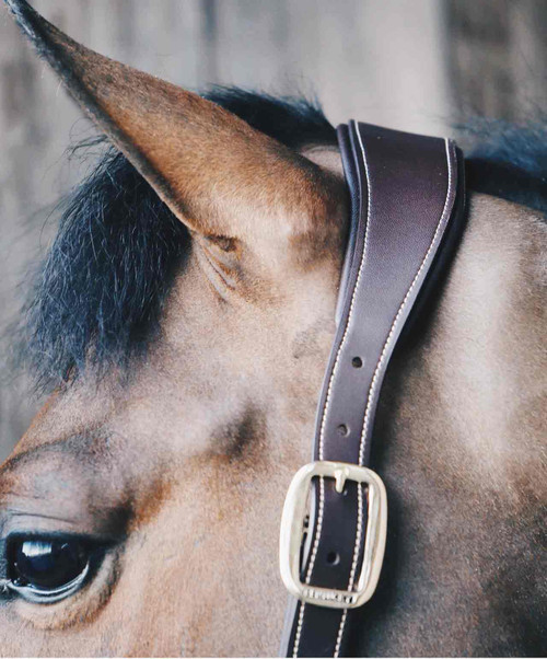 Kentucky Anatomic Halter Crown.