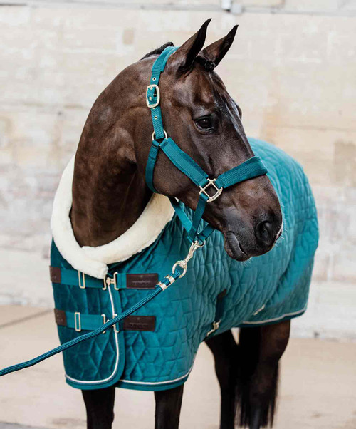 Kentucky Velvet Halter.