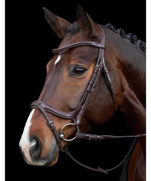 Schockemohle Ancona Anatomic Bridle.