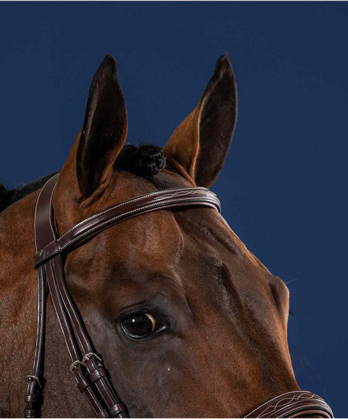 Dy'on Hunter Collection Straight Browband.