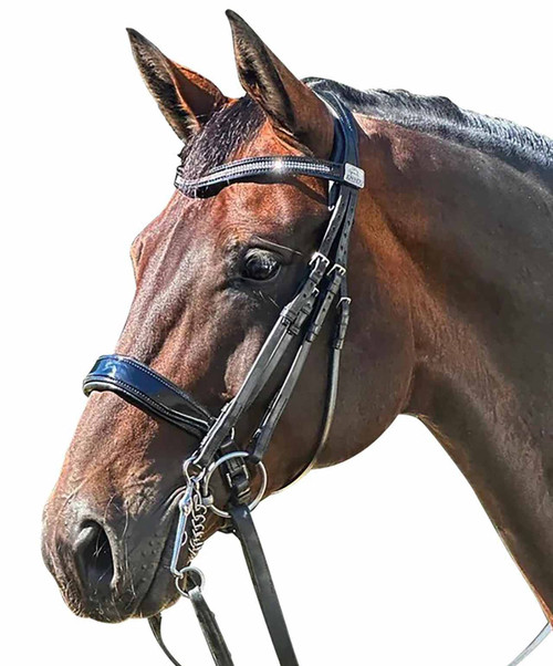 Fairfax Double Bridle with Patent Noseband.