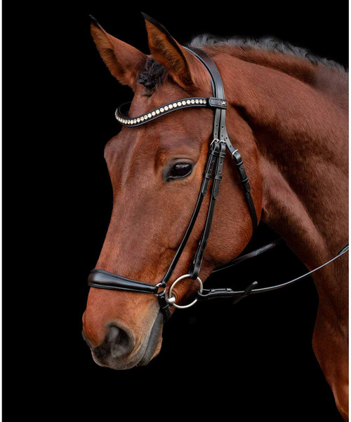 Schockemohle Pisa Classic Line Bridle.