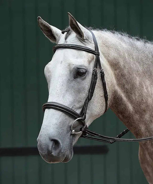 Collegiate Essential Padded Raised Fancy Stitched Cavesson Bridle.