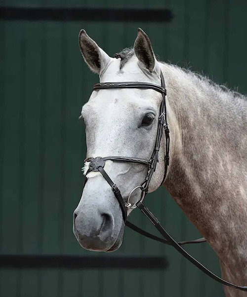 Collegiate Essential Padded Raised Fancy Stitched Figure 8 Bridle.