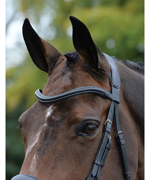 Collegiate Confitec Vogue Anatomic Bridle, browband.