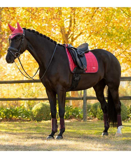 LeMieux Loire Classic Satin Dressage Saddle Pad FW25.