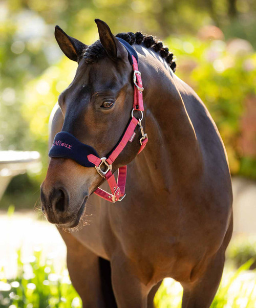 LeMieux Vogue Halter & Lead FW25, Cranberry, lifestyle.