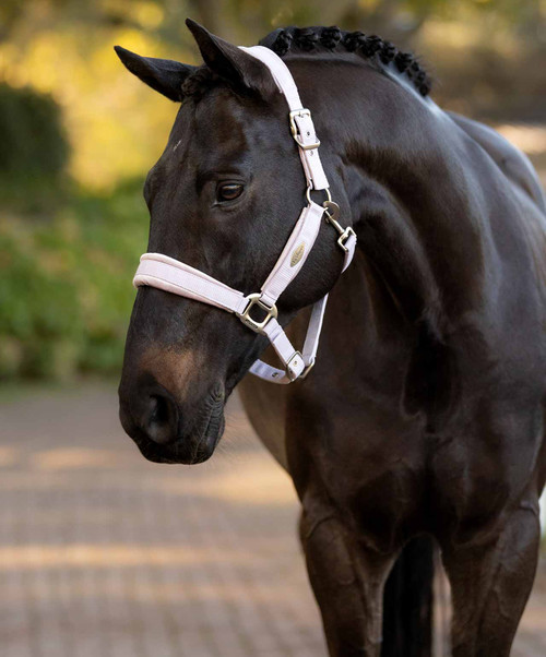 LeMIeux Versailles Halter FW25.