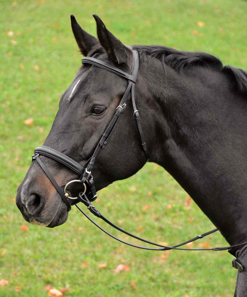HDR Pro Stress Free Mono Crown Padded Dressage Brank Bridle with Reins.