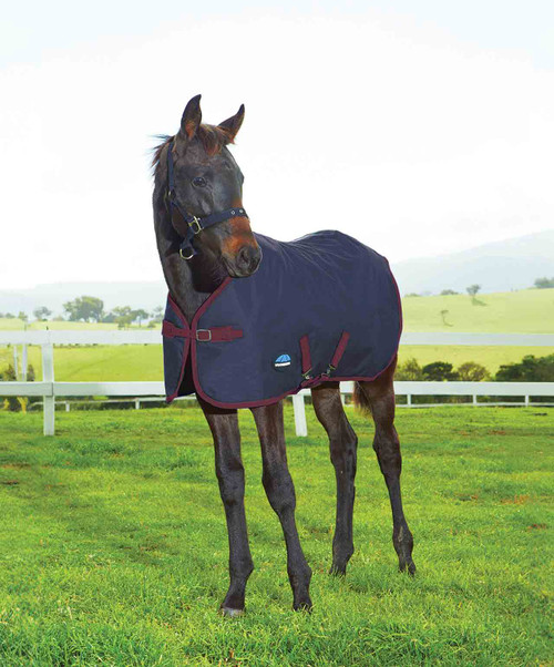 Weatherbeeta 1200D Foal Standard Neck Medium Turnout, FW25.