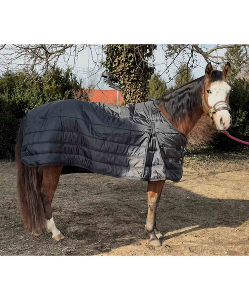 Century Equilayer Equibase Liner 200grams.