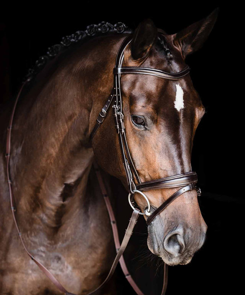 Schockemohle Monza SP Classic Anatomic Bridle.