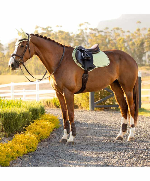 LeMieux Close Contact Luxury Suede Feel Square Saddle Pad SS26.