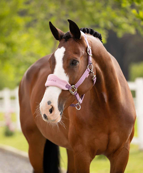 LeMieux Vogue Halter & Lead SS26, Mallow, lifestyle.