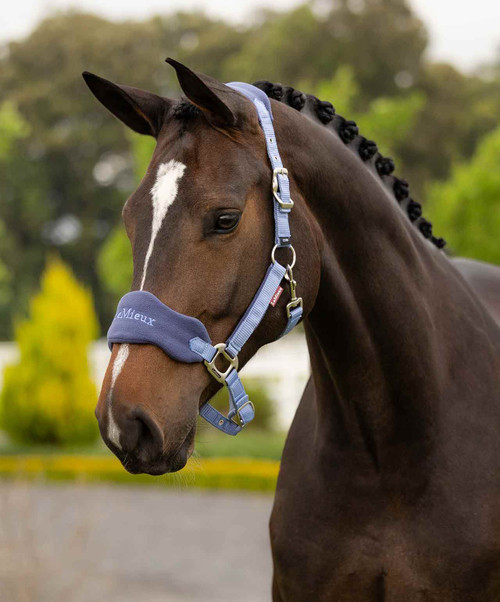 LeMieux Vogue Halter & Lead SS26, Powder Blue, lifestyle.