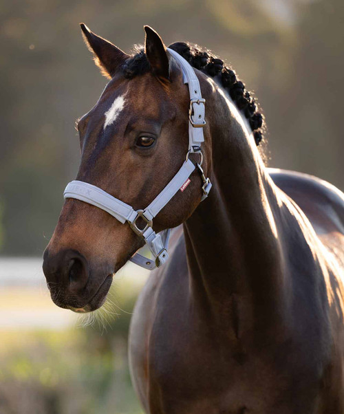 LeMieux Essence Halter SS26.