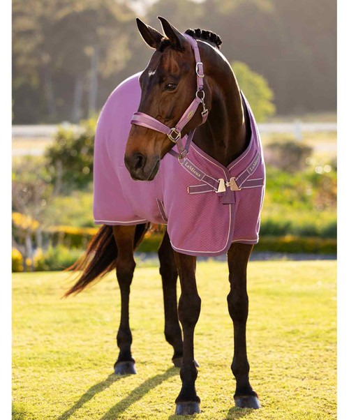 LeMieux Kudos Bamboo Cooler SS26.