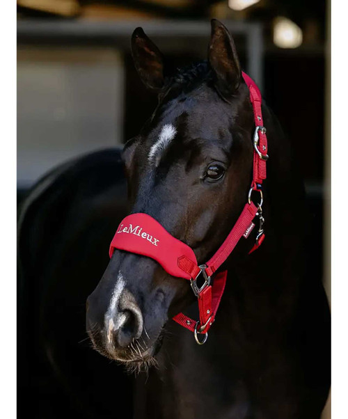 LeMieux Breakaway Vogue Halter & Lead.