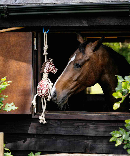 LeMieux Horse Toy Giraffe, lifestyle.