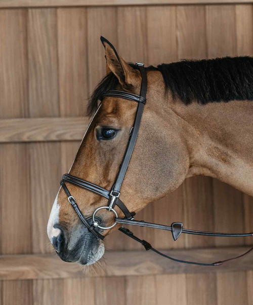 Dy'on Working Bridle.