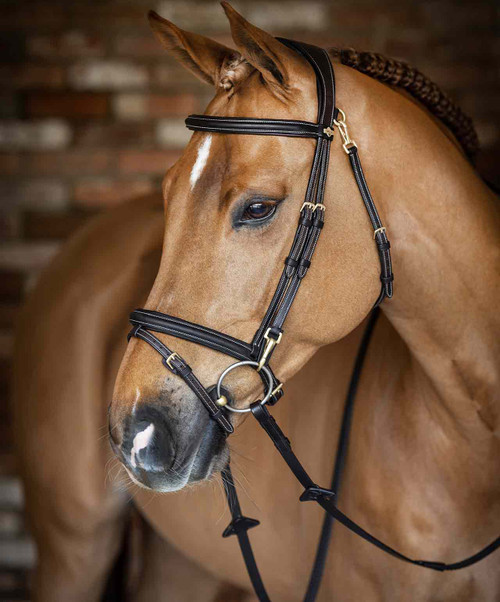 LeMieux Kudos Work Bridle.