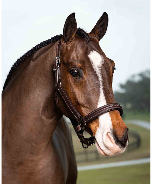 LeMieux Stitched Hunter Leather Halter.
