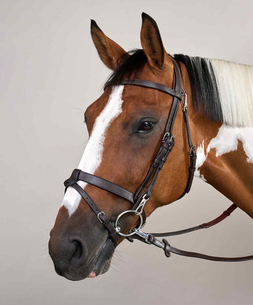 Dy'on Working Flat Leather Bridle.