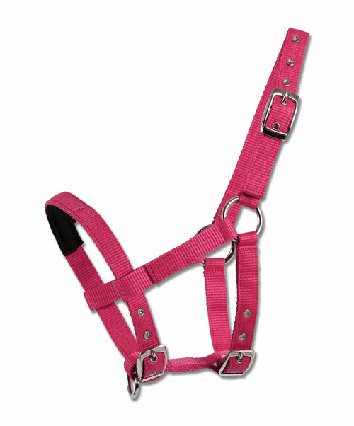 Waldhausen Min-Shetty Padded Halter, Azalea.