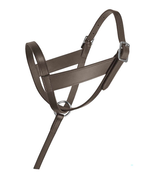 Lexington Foal Halter-Leather