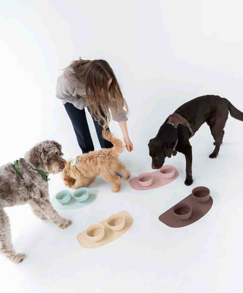 Dexypaws Silicone Placemat.