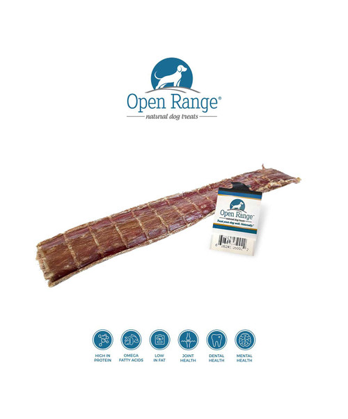 Open Range Beef Chomper Flattened Dog 11-12"