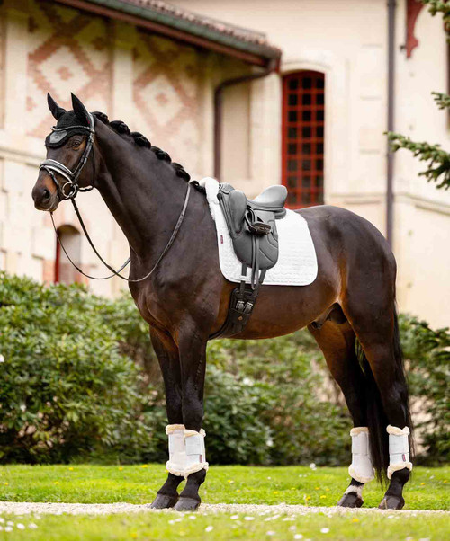 LeMieux Merino+ Half Lined Dressage Square Pad, White, lifestyle.