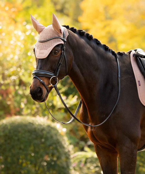 LeMieux Essence Fly Veil FW26, Wild Rose, horse.