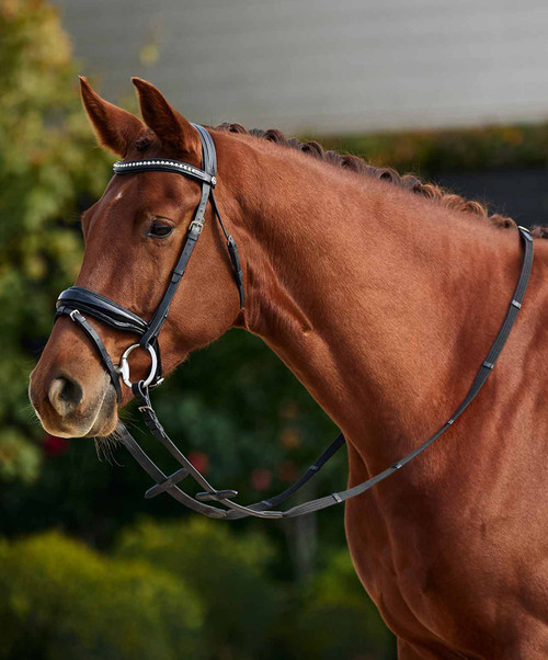 Dublin Padded Comfort Crown Patent Flash Bridle, Black.