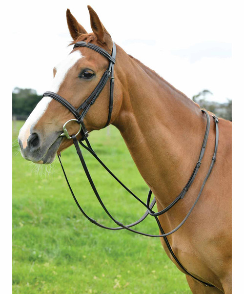 Dublin Standing Martingale.