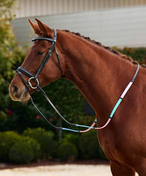 Dublin Pastel Rainbow Reins, on horse.