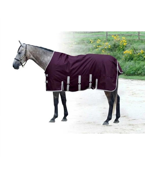 Century 1200D with Belly Band, Medium Turnout, Plum.