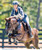 Breyer Avatar's Jazzman