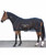 Horseware Sportz-vibe ZX Horse Rug