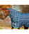 Horseware Rhino Stable Blanket and Stable hood.