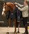 Rambo/Amigo Medium Blanket liner with compatible turnout.