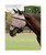 Rambo Flymask Plus| Flymasks & Flyveils|Brand: Rambo