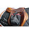 Free Jump Stirrup Pockets| Stirrups|Brand: Free Jump
