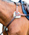 Prestige EVO 5 Point Breastplate