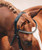 Schockemohle Equitus Omega Anatomic Bridle, crown detail.