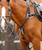 Premier Equine Invorio 5 Point Breastplate.