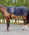 Horse wearing Weatherbeeta quarter sheet in Navy.